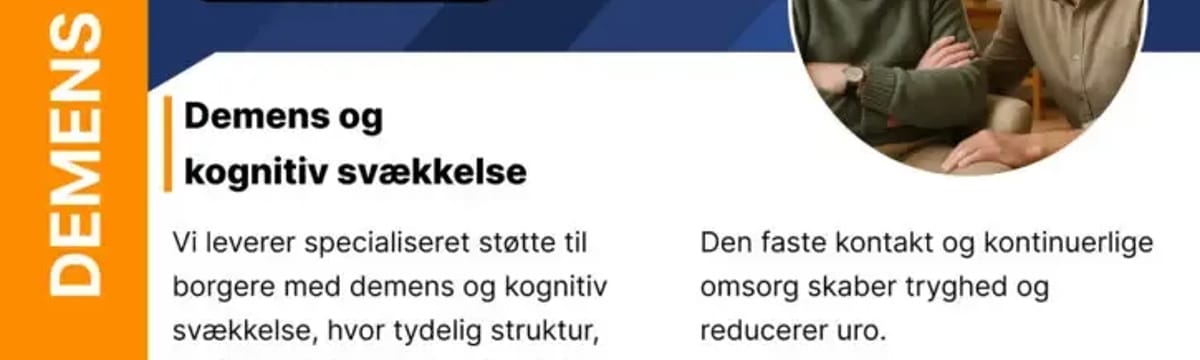Demenspleje providers