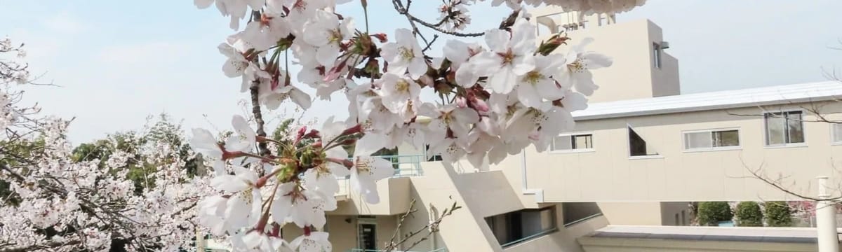 介護サービス in さいたま市西区, 埼玉県