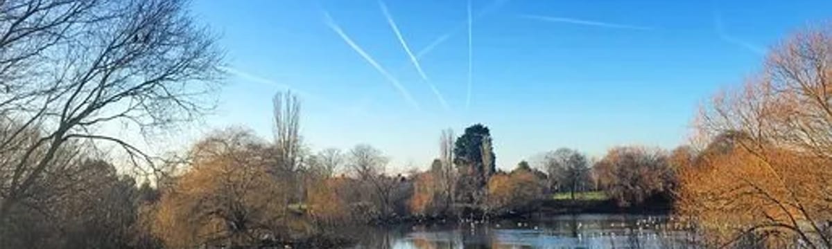 Care Services in Dagenham, England