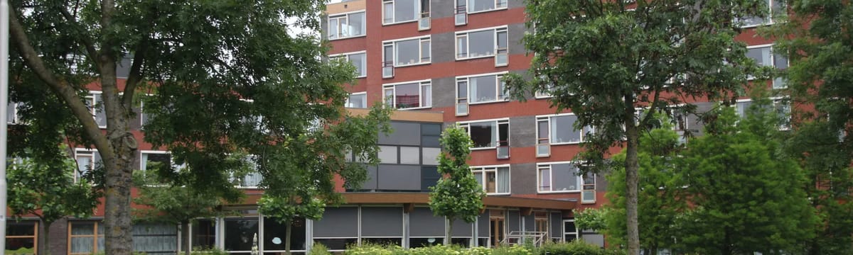 Ouderenzorg in Hendrik-Ido-Ambacht, Zuid-Holland
