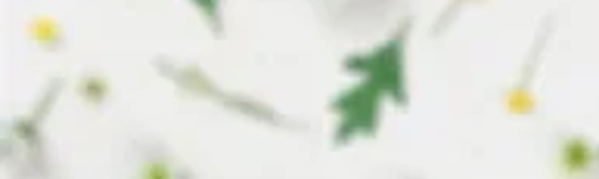 有料老人ホーム in 富士市, 静岡県