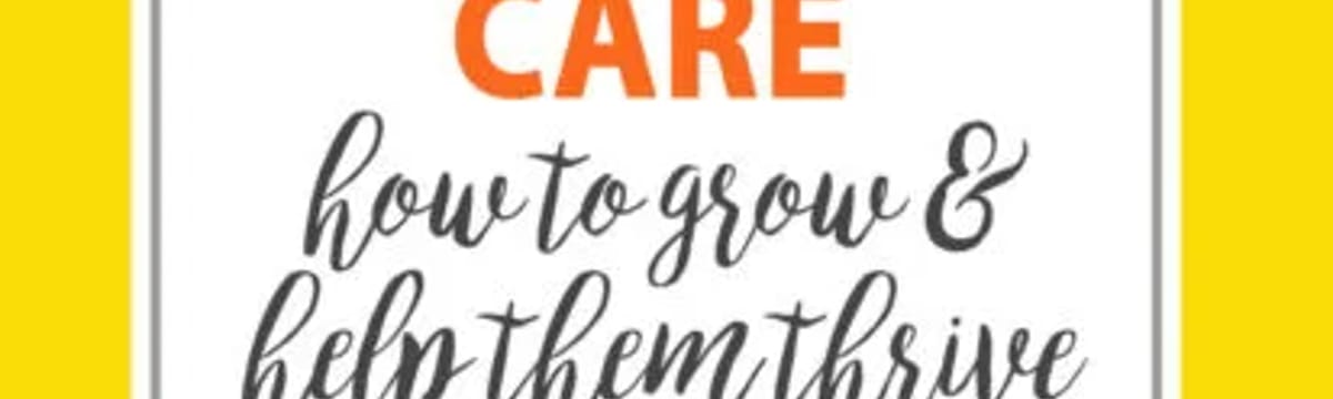Care Services in Rochester, England