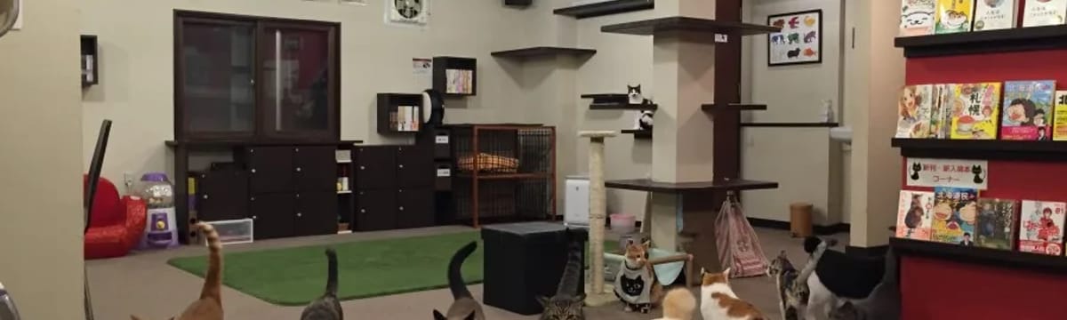 介護サービス in 札幌市東区, 北海道