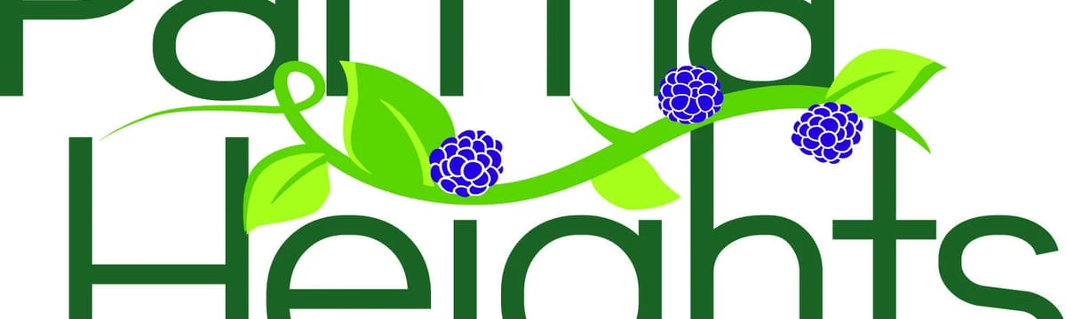 Senior Care in Parma Heights, OH