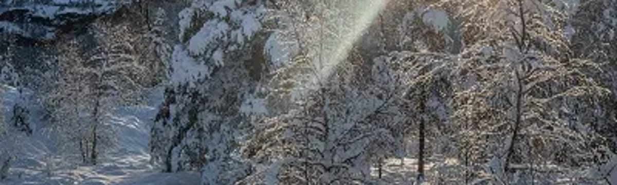 Eldreomsorg in Skien, Telemark