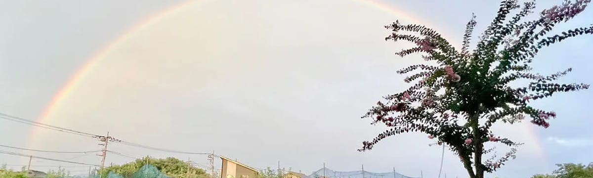介護サービス in 伊賀市, 三重県