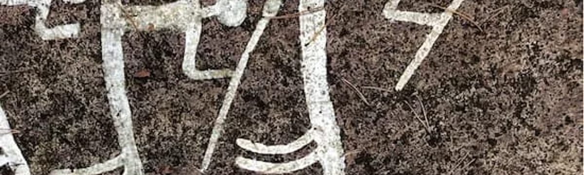 Äldreomsorg in Tanum, Västra Götalands län