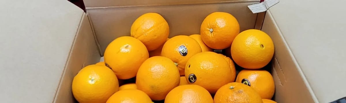 요양 서비스 in 산청군, 경상남도