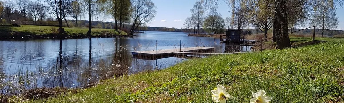 Äldreomsorg in Lindesberg, Örebro län