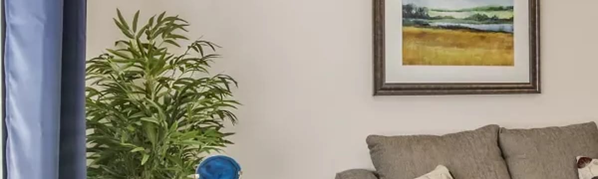 Senior Care in Lakeway, TX