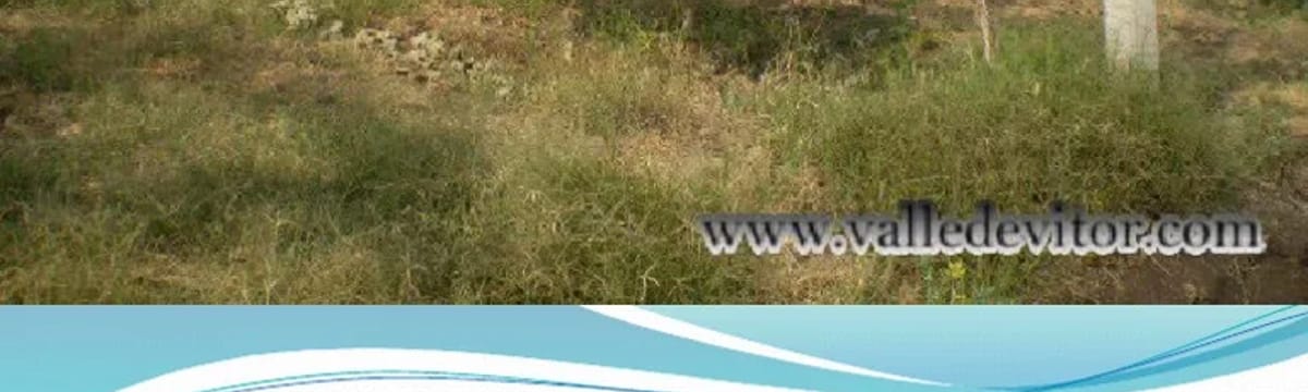 Cuidado de Mayores in Cananea, Sonora