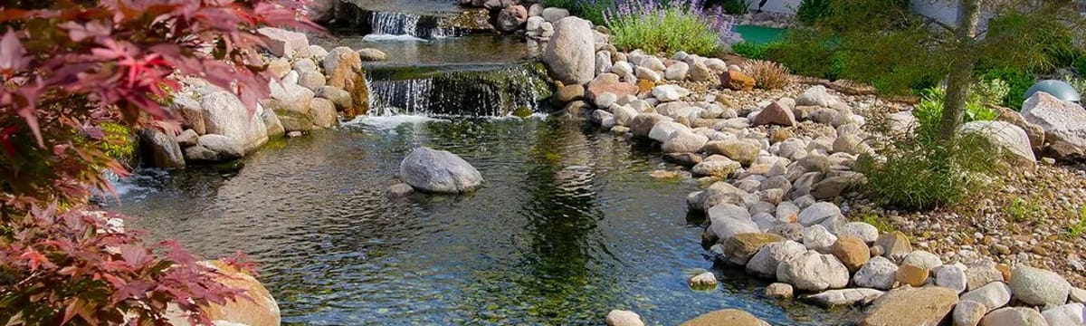 Senior Care in Richfield, OH