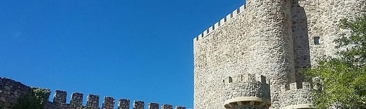 Cuidado de Mayores in San Martín De Valdeiglesias, Madrid
