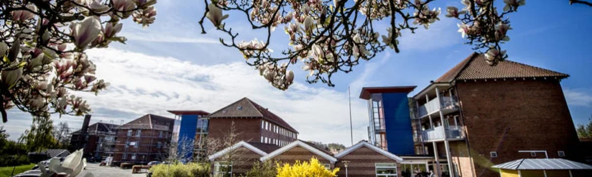 Ældrepleje in Svendborg, Region Syddanmark