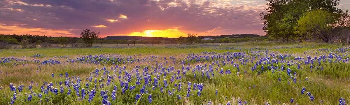 Senior Care in College Station, TX