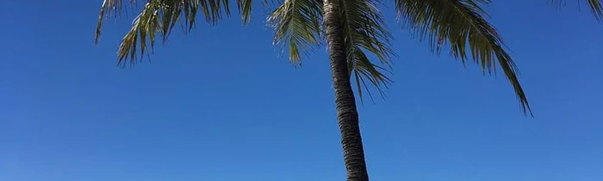 Senior Care in Ewa Beach, HI