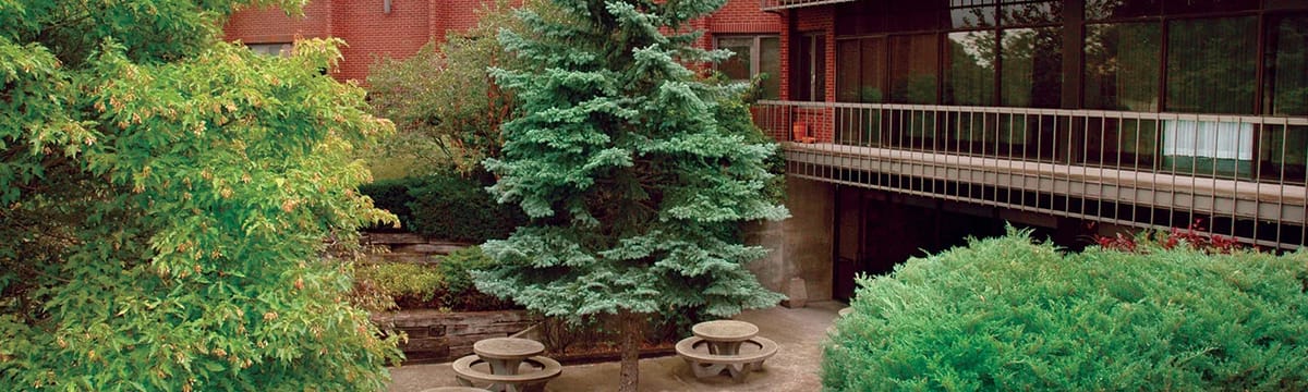 Senior Care in Mchenry, IL