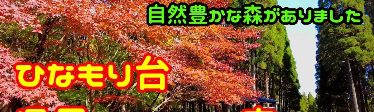 介護サービス in 小林市, 宮崎県