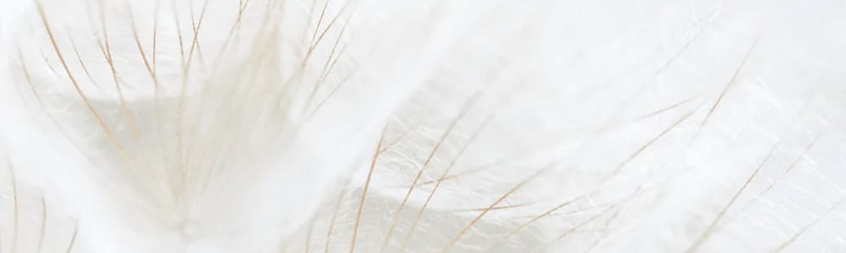Senior Care in Greenville, OH
