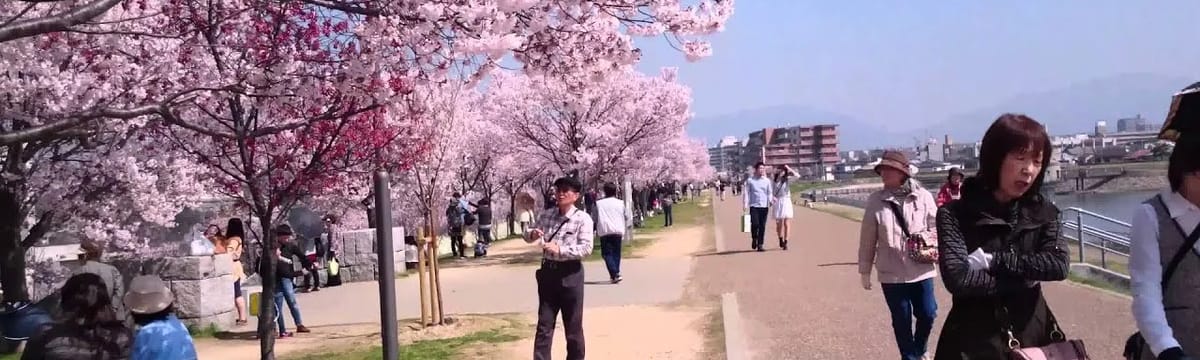介護サービス in 大阪狭山市, 大阪府