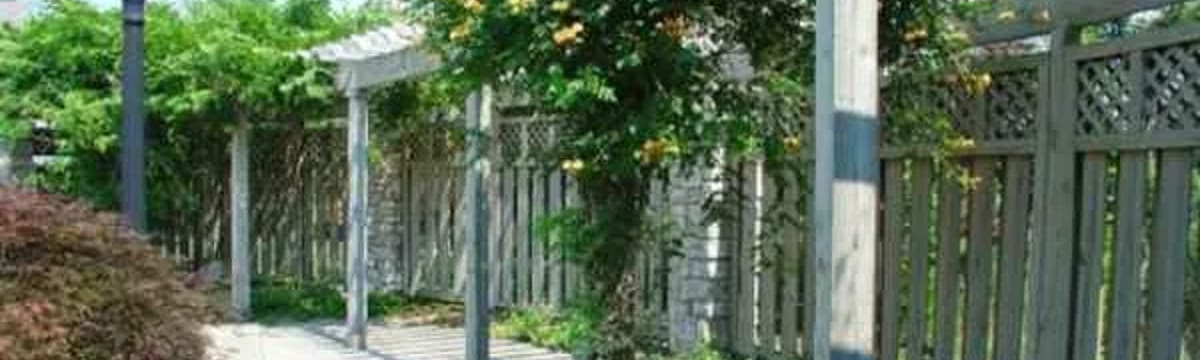 Senior Care in Williamsville, NY