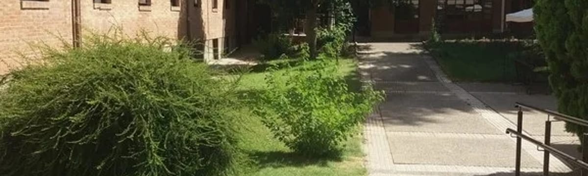 Cuidado de Mayores in Palencia, Castilla y León
