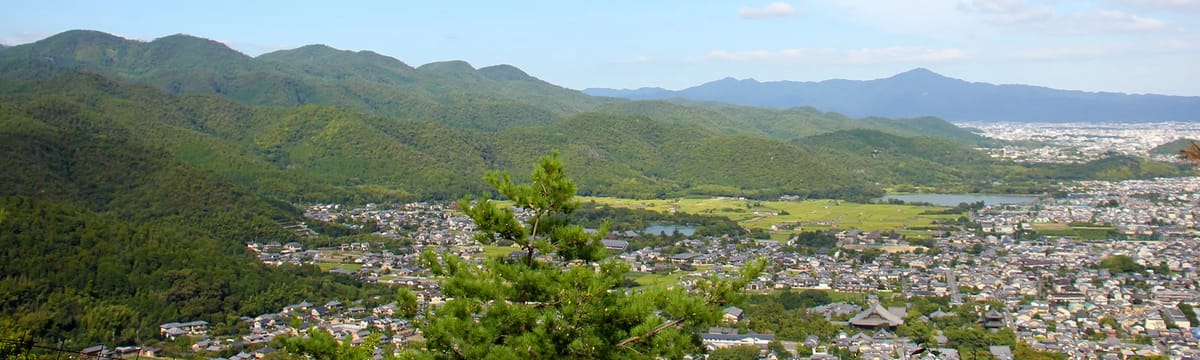 介護サービス in 京都市伏見区, 京都府