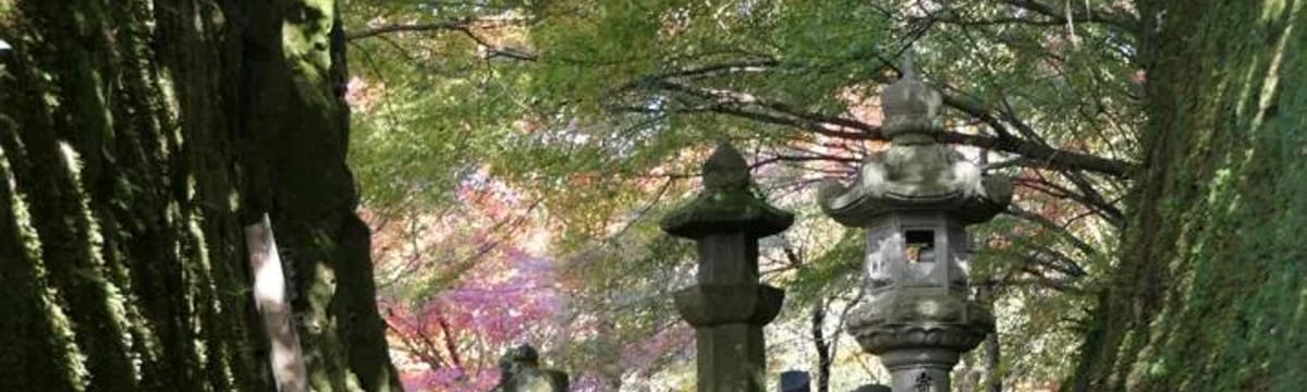 デイサービス in 宇治市, 京都府