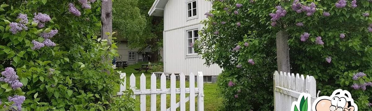 Serviceboende in Uppsala, Uppsala län