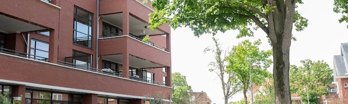 Ouderenzorg in Den Haag, Zuid-Holland