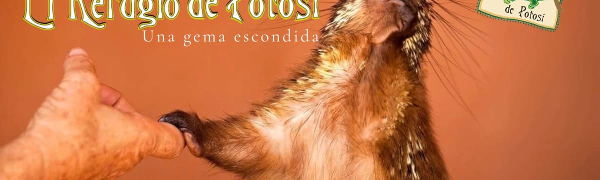 Cuidado en Casa in Maipú, Región Metropolitana de Santiago