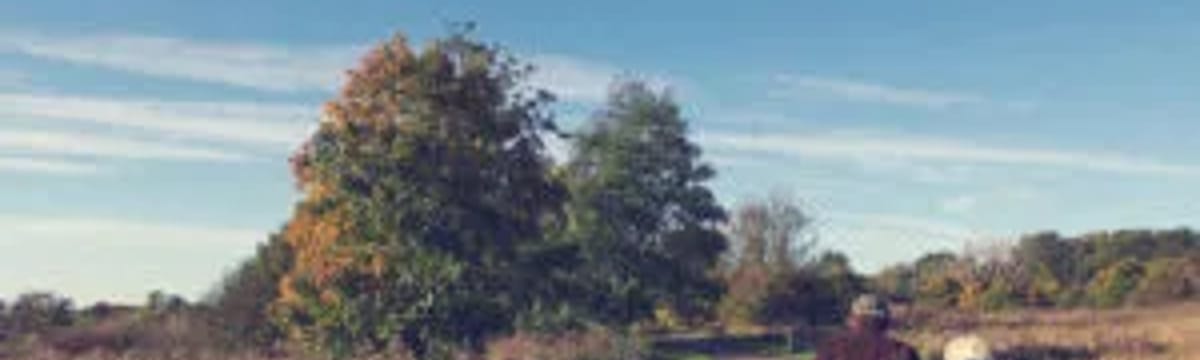Assisted Living in Arcadia, FL