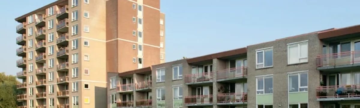 Ouderenzorg in Rotterdam, Zuid-Holland