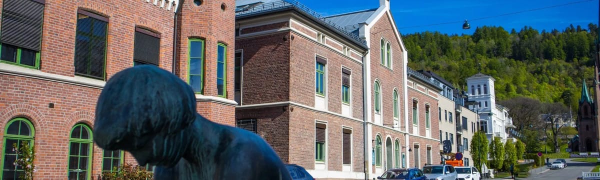 Hjemmetjenester in Drammen, Buskerud