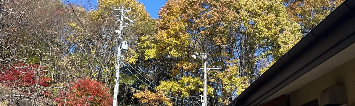 認知症ケア in 飯田市, 長野県