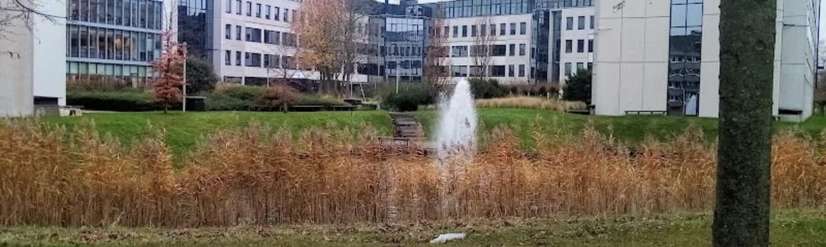 Ouderenzorg in Rijswijk, Zuid-Holland