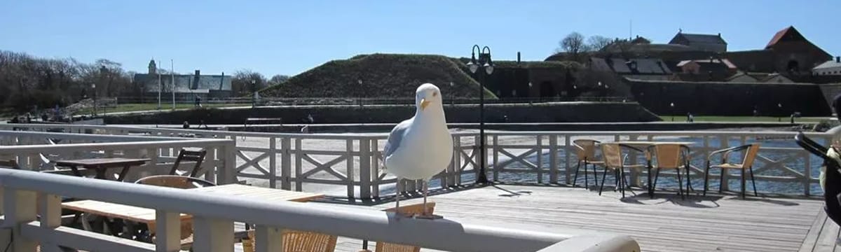 Äldreboende in Varberg, Hallands län