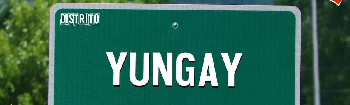 Cuidado de Mayores in Yungay, Región de Ñuble