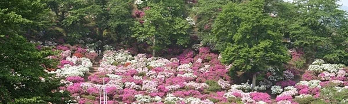 介護サービス in 鯖江市, 福井県