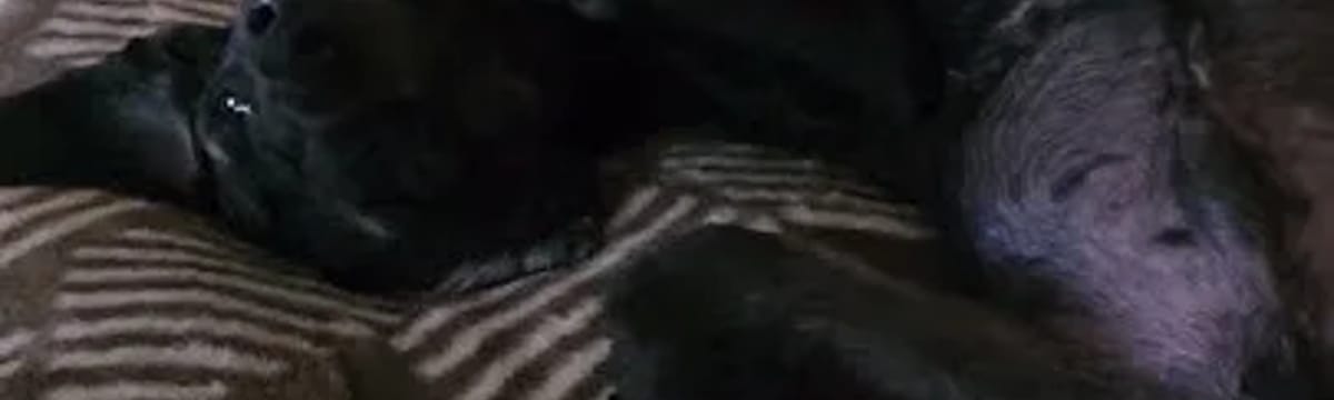 요양 서비스 in 영도구, 부산광역시
