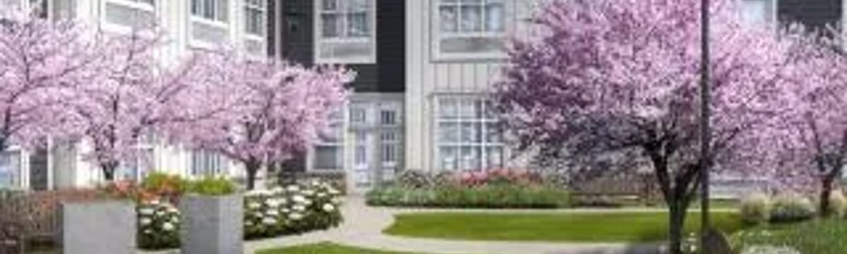 Senior Care in Weatogue, CT