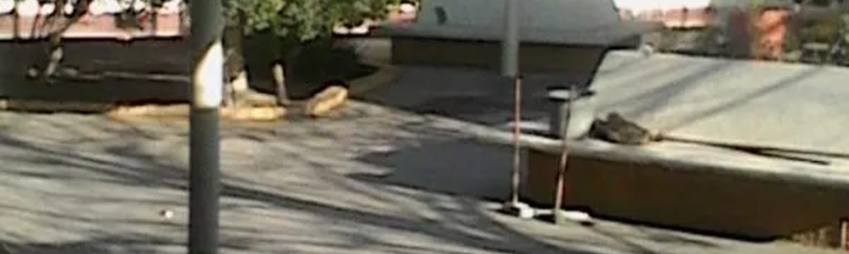 Cuidado de Mayores in Monclova, Coahuila