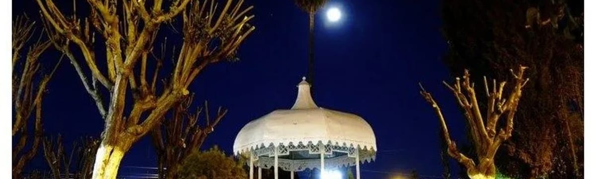 Cuidado de Mayores in Vicente Guerrero, Durango