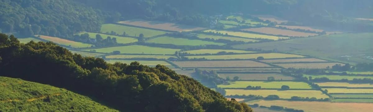 Care Services in Winscombe, England