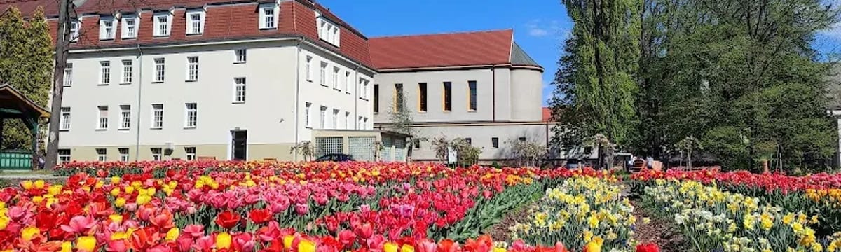 Dom seniora in Branice, Branice