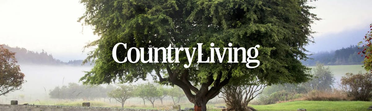 Assisted Living in Bloomer, WI