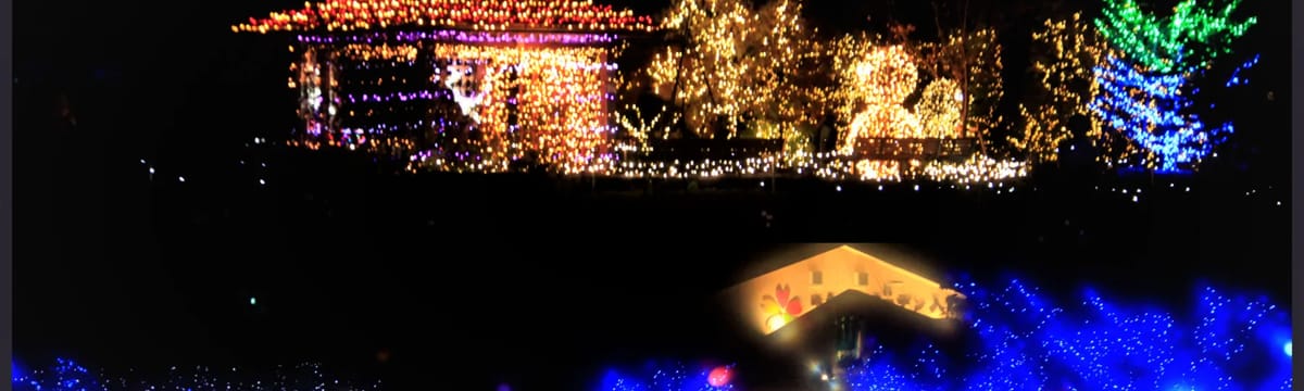 介護サービス in 伊奈町, 埼玉県