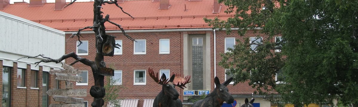 Hemtjänst in Arvidsjaur, Norrbottens län