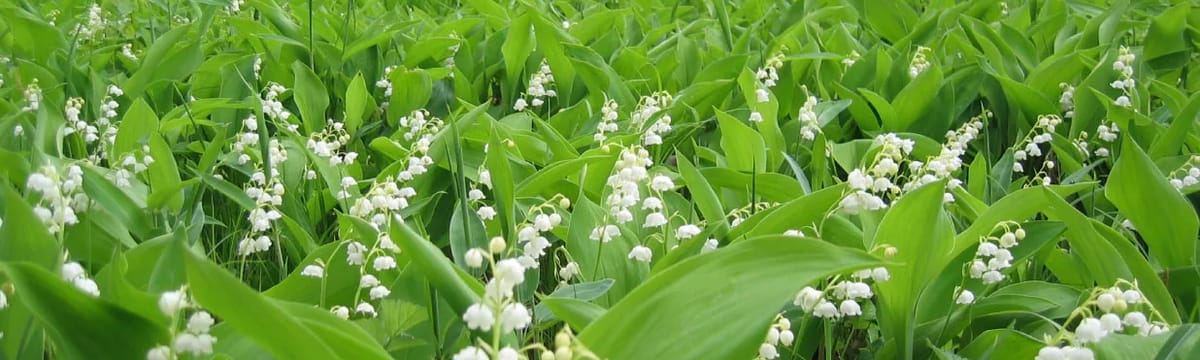介護サービス in 伊勢原市, 神奈川県