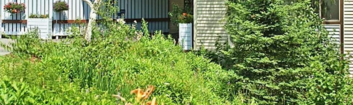 Senior Care in Farmington, ME